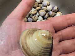 -启东黄金海滩景区