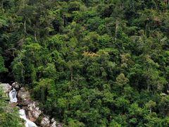 -海南热带雨林国家公园吊罗山景区