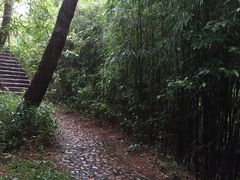 -武夷山风景名胜区-玉女峰