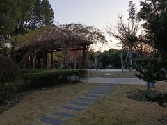 -华东政法大学(松江校区)