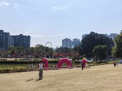 -牛岗山公园