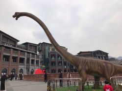 -恐龙探索乐园(磁器口店)