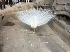 -哈尔滨北方森林动物园
