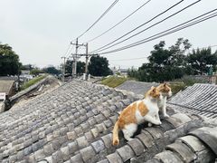 -前叁門