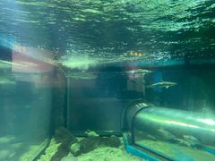 -福州罗源湾海洋世界旅游区