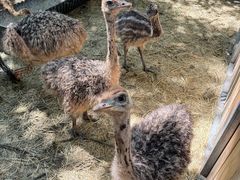 -水上乐园·欢乐世界