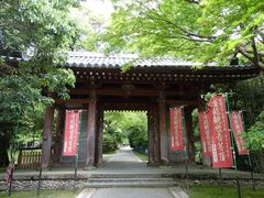 -醍醐寺