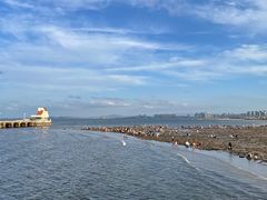 -黄海明珠