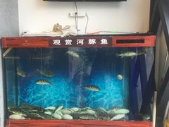 水产区-肆月河豚·新淮扬(金融街店)