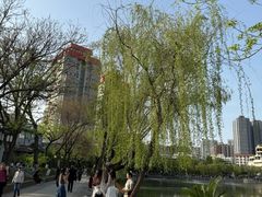 -文瀛公园