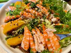 -O'eat Blossom&Pelican(深圳首店)