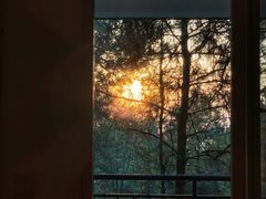 -铁山坪森林公园