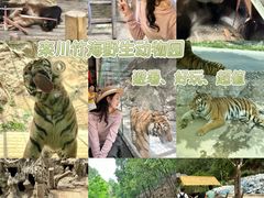 -栾川竹海野生动物园