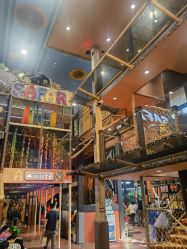 -卡通尼·Safari非洲探索乐园·生日会(金桥国际商业广场店)