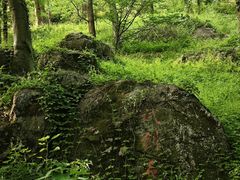 -南京老山国家森林公园