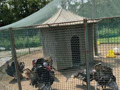 -前小桔亲子创意农场·草莓采摘·露营烧烤