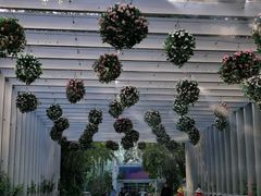 -深圳国际园林花卉博览园