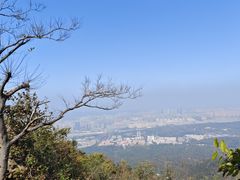 -紫金山山顶公园