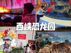 -中国西峡恐龙遗迹园