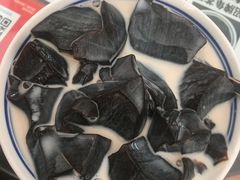 -五福堂龟苓膏(河东北山店)