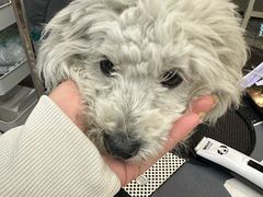 -萌宠主义宠物生活馆(金山路店)