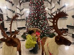 -LONG BAR 廊吧(外滩华尔道夫酒店)