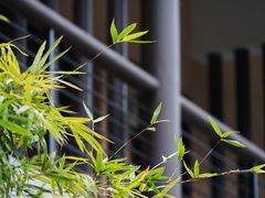 -黄陂区野村谷景区