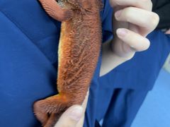 -博特宠物医院24h犬猫全科.骨科·异宠