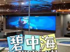 -碧中海汤泉汗蒸酒店