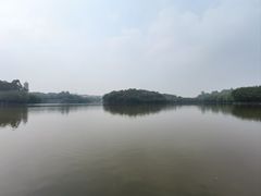 -三水森林公园