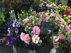 -Butchart布查德鲜花(花艺设计中心)