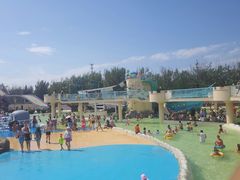 -秦皇岛乐岛海洋王国