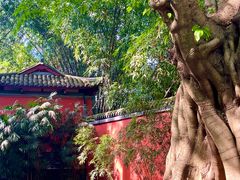 -成都武侯祠博物馆