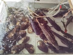 -金台阶鱼馆(于桥水库店)