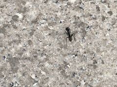 -宝岩生态观光园