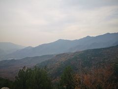 -北京鹫峰国家森林公园