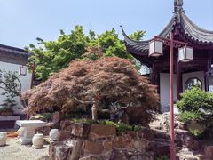 -苏州冶园园林民宿(太湖西山风景区店)