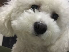 -中农大我爱我爱24h动物医院·中医针灸·猫专科·骨科医疗中心(双井店)
