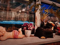-芭堤雅泰国餐厅(胜利路店)