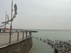 -包头南海湿地景区