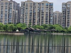-洋湖国家湿地公园