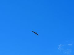-孜珠寺