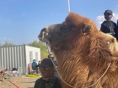 -库伦旗银沙湾旅游景区