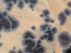 -索菲特酒店·海鲜自助 ·聚餐厅