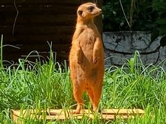 -云南野生动物园