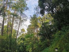 -三门江国家森林公园