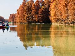 -上海海湾国家森林公园