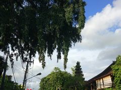 -Warung Babi Guling Ibu Oka 3