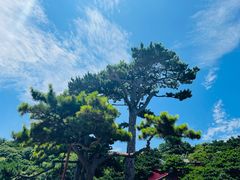 -妙峰山风景名胜区