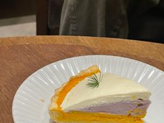 -猫里有甜
